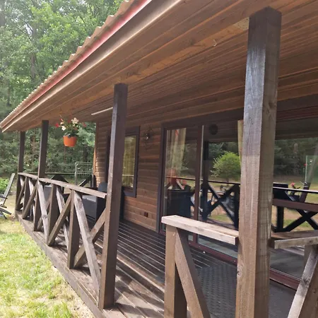 Rasos Kiemelis * Palanga