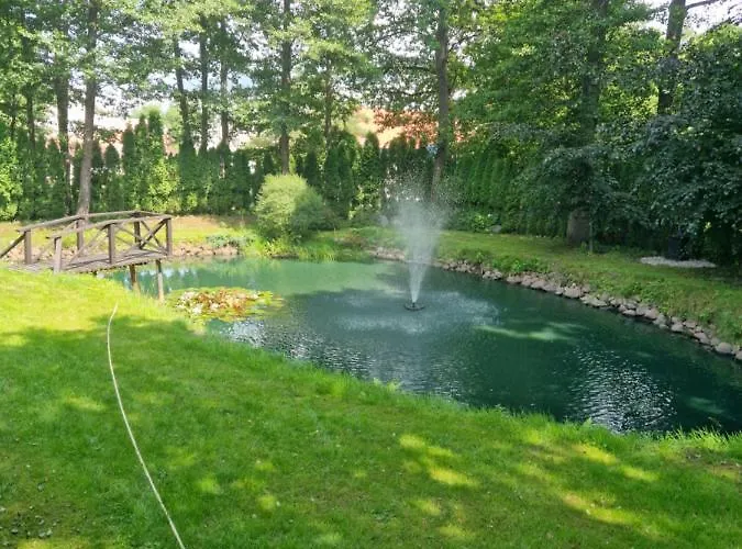 Rasos Kiemelis * Palanga